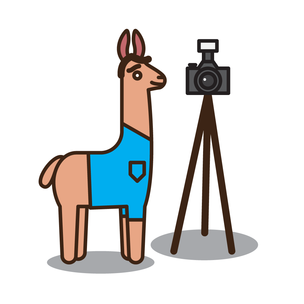 An illustrated cartoon llama with a camera on a tripod.